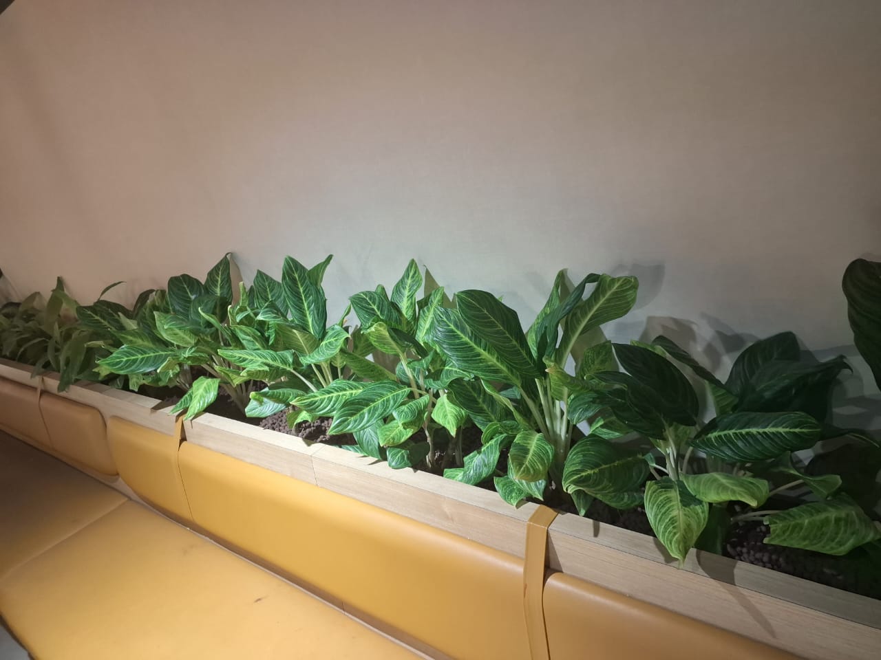 Garden work 7